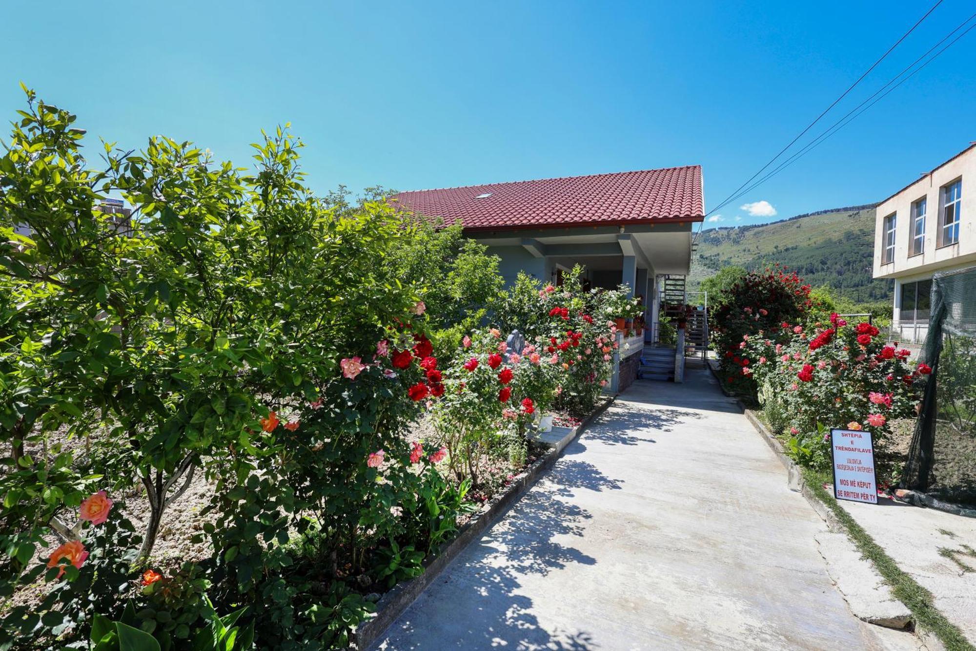 Samuela Cozy Retreat Villa Berat Exteriör bild